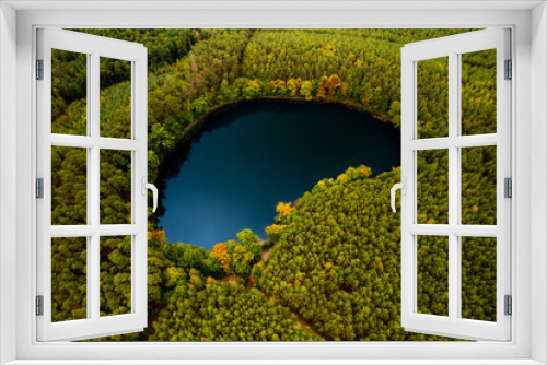 Fototapeta Naklejka Na Ścianę Okno 3D - Heart - shaped lake in the green forest. Bird's eye view of the blue water and treetops in a daylight.