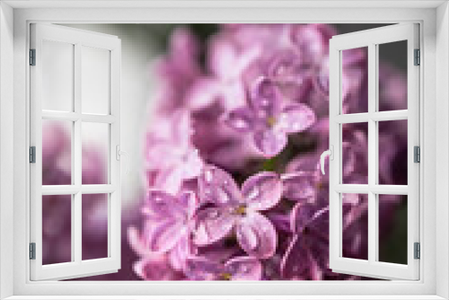 Fototapeta Naklejka Na Ścianę Okno 3D - Fresh lilac bouquet. Beautiful lilac flowers bouquet background