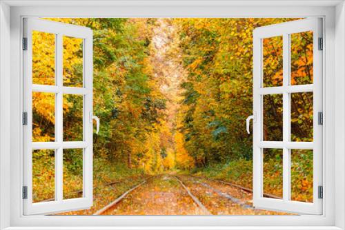Fototapeta Naklejka Na Ścianę Okno 3D - Autumn forest through which an old tram rides (Ukraine)