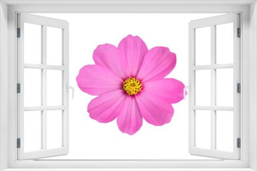 Fototapeta Naklejka Na Ścianę Okno 3D - isolated pink and purple cosmos flower with clipping paths.	