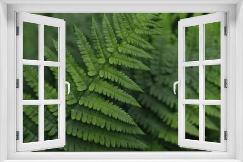 Fototapeta Naklejka Na Ścianę Okno 3D - Beautiful young ferns in the forest