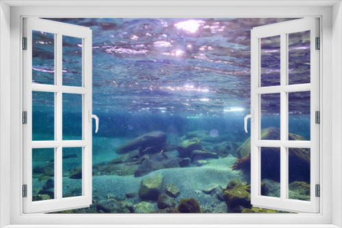 Fototapeta Naklejka Na Ścianę Okno 3D - underwater fresh water landscape, mountain lake ecosystem background in summer, under water view