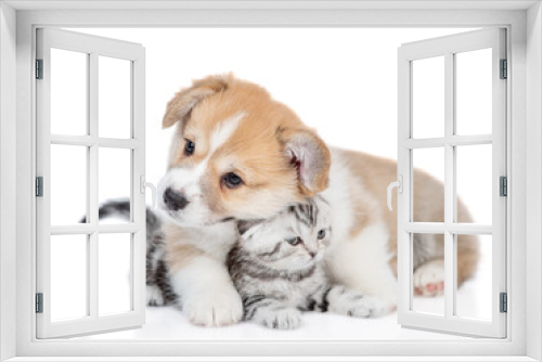Fototapeta Naklejka Na Ścianę Okno 3D - Cute Pembroke welsh corgi puppy embraces tiny kitten. isolated on white background
