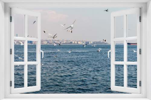Fototapeta Naklejka Na Ścianę Okno 3D - Flock of seagulls flying above the sea water Bosphorus strait.