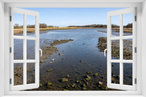 Fototapeta Naklejka Na Ścianę Okno 3D - From the Causeway at Freshwater, Isle of Wight with water and wildfowl