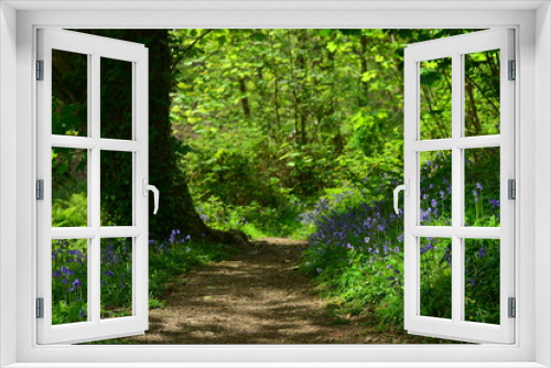Fototapeta Naklejka Na Ścianę Okno 3D - Bluebell woodland park, Jersey, U.K. Spring wildflowers in the landscape.