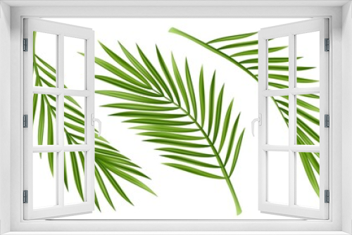 Fototapeta Naklejka Na Ścianę Okno 3D - Tropical palm leaf isolated on white background. Realistic green summer plant tree set. Tropic botanical branch illustrations Vector illustration