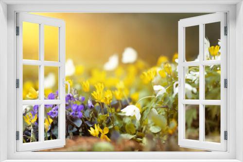 Fototapeta Naklejka Na Ścianę Okno 3D - kwietna łąka z drobnymi wiosennymi kwiatami, grządka z wiosennymi dzikimi kwiatami w promieniach słońca