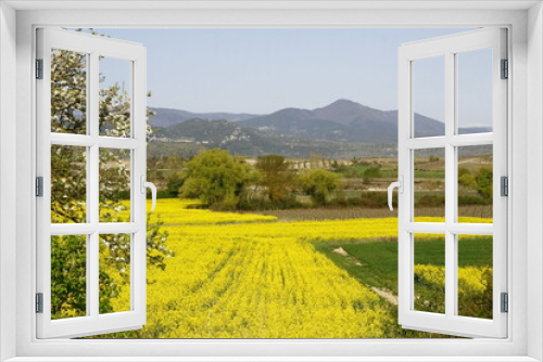 Fototapeta Naklejka Na Ścianę Okno 3D - Champs de colza en fleurs en Ardèche au pied des Cévennes