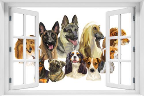 Fototapeta Naklejka Na Ścianę Okno 3D - Realistic dogs portraits of different breeds vector illustration