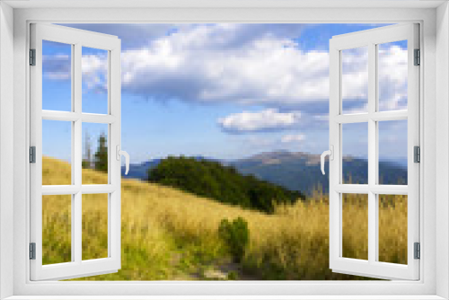 Fototapeta Naklejka Na Ścianę Okno 3D - majowe łąki