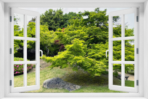 Fototapeta Naklejka Na Ścianę Okno 3D - 庭園　風景　
