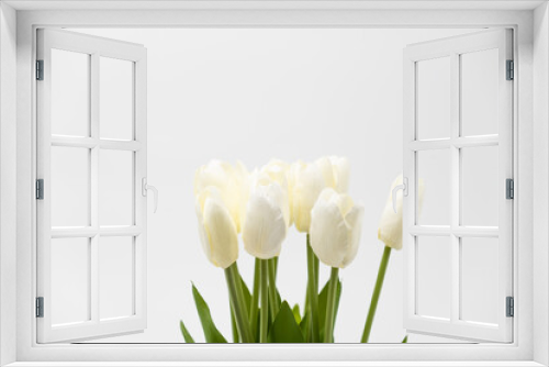 Fototapeta Naklejka Na Ścianę Okno 3D - Colorful tulips in a field on a white background