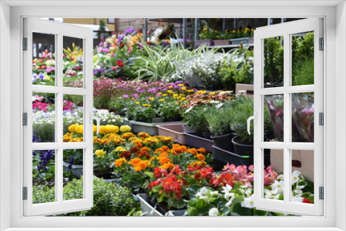 Fototapeta Naklejka Na Ścianę Okno 3D - stragan sklep ogrodniczy bazar wiosna 