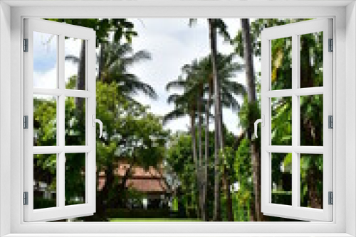Fototapeta Naklejka Na Ścianę Okno 3D - tropical park with meadow and coconut palm trees