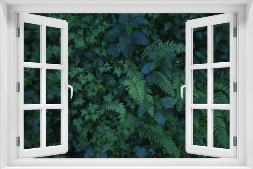 Fototapeta Naklejka Na Ścianę Okno 3D - Vegetation in an urban park