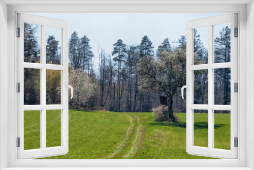 Fototapeta Naklejka Na Ścianę Okno 3D - Einfach Frühling