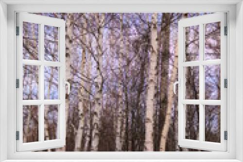 Fototapeta Naklejka Na Ścianę Okno 3D - 空と白樺林　
be dotted with white birch trees. 