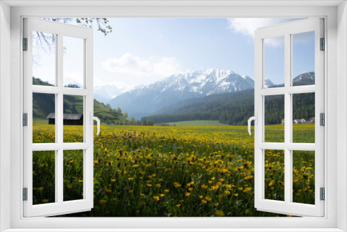 Fototapeta Naklejka Na Ścianę Okno 3D - Blumenwiese in den Alpen.
Val Müstair