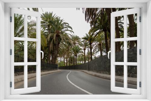 Fototapeta Naklejka Na Ścianę Okno 3D - Beautiful view of new road among many palms on Island