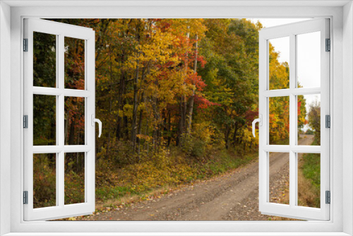Fototapeta Naklejka Na Ścianę Okno 3D - Gravel Country Road on the Edge of an Autumn Forest | Amish Country, Ohio