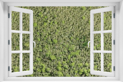 Fototapeta Naklejka Na Ścianę Okno 3D - Top View Aerial Photograph of Forest