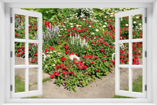 Fototapeta Naklejka Na Ścianę Okno 3D - Blühende bunte Sommerblumen, Blumenbeet