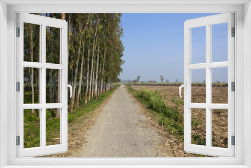 Fototapeta Naklejka Na Ścianę Okno 3D - punjabi country road