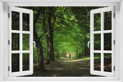Fototapeta Naklejka Na Ścianę Okno 3D - green woods landscape, man walking on forest path