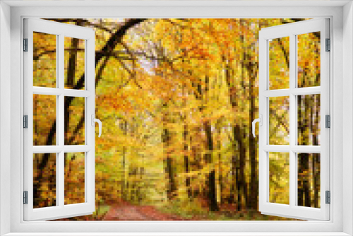 Fototapeta Naklejka Na Ścianę Okno 3D - Bright orange and yellow leaves with one tree growing over a walking path in the Palatinate forest of Germany on a fall day.