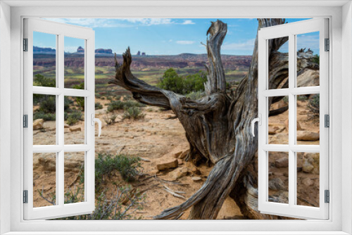 Fototapeta Naklejka Na Ścianę Okno 3D - Dead tree, Arches, Utah
