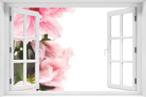 Fototapeta Naklejka Na Ścianę Okno 3D - Flower bloom