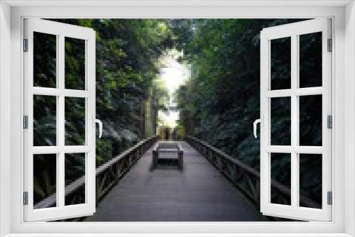 Fototapeta Naklejka Na Ścianę Okno 3D - 自然の道
