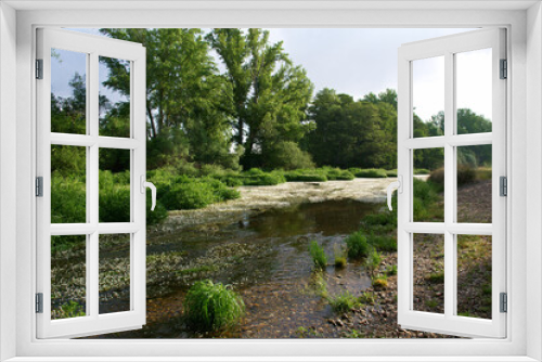 Fototapeta Naklejka Na Ścianę Okno 3D - krajobraz rzeka woda kwiaty rośliny natura