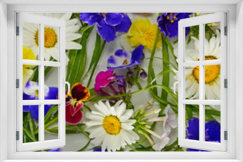 Fototapeta Naklejka Na Ścianę Okno 3D - Pattern of chamomile, phlox and violet flowers on white.
