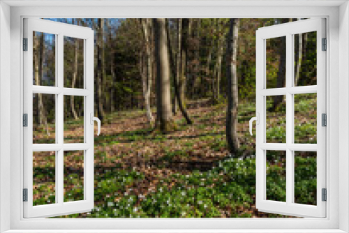 Fototapeta Naklejka Na Ścianę Okno 3D - Bootshaus am Königsssee, Berchtesgaden