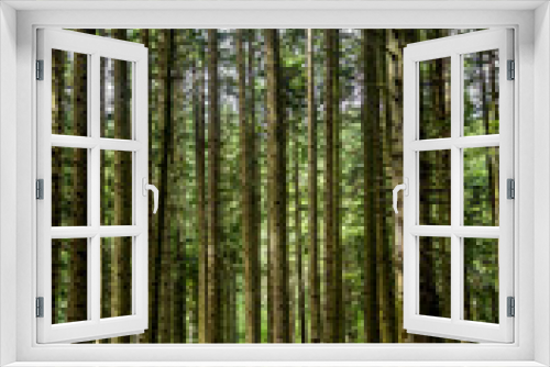Fototapeta Naklejka Na Ścianę Okno 3D - a spruce forest, Skole Beskids National Nature Park, Ukraine