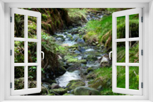 Fototapeta Naklejka Na Ścianę Okno 3D - A small forest stream in misty pine forest in Scotland