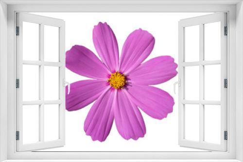 Fototapeta Naklejka Na Ścianę Okno 3D - Purple flower isolated on a white background.