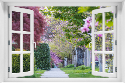 Fototapeta Naklejka Na Ścianę Okno 3D - Blossoming alley