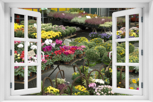 Fototapeta Naklejka Na Ścianę Okno 3D - Blumenmarkt; Blumenstrauss