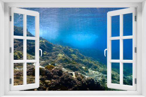 Fototapeta Naklejka Na Ścianę Okno 3D - Underwater landscape in rays of sunlight