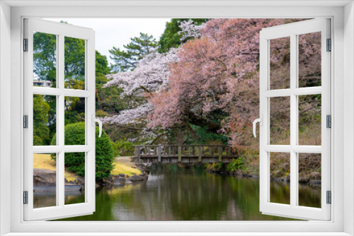 Fototapeta Naklejka Na Ścianę Okno 3D - japanese garden in spring