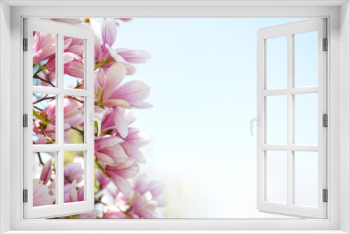 Fototapeta Naklejka Na Ścianę Okno 3D - Blooming magnolia tree in spring on pastel bokeh white background with copy space