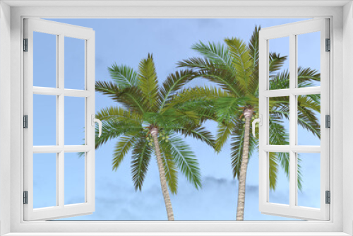 Fototapeta Naklejka Na Ścianę Okno 3D - ココナツ ココナッツ 椰子 ヤシ ヤシの木 椰子の木 Coconut palm