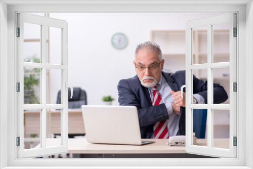 Old male employee working in the office