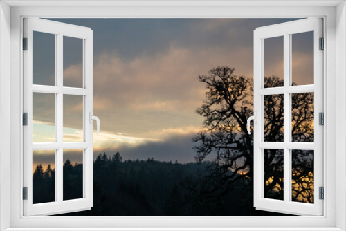 Fototapeta Naklejka Na Ścianę Okno 3D - A solitary oak tree is a silhouette in front of a glowing sunset sky in Oregon, textured clouds and strong light against clouds and fog.