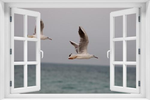Fototapeta Naklejka Na Ścianę Okno 3D - bird in the sea