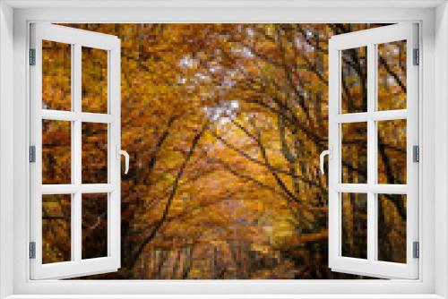 Fototapeta Naklejka Na Ścianę Okno 3D - Pollino