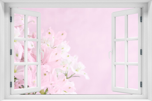 Fototapeta Naklejka Na Ścianę Okno 3D - ピンクの花　背景　淡い色　パステルピンク　デルフィニウム